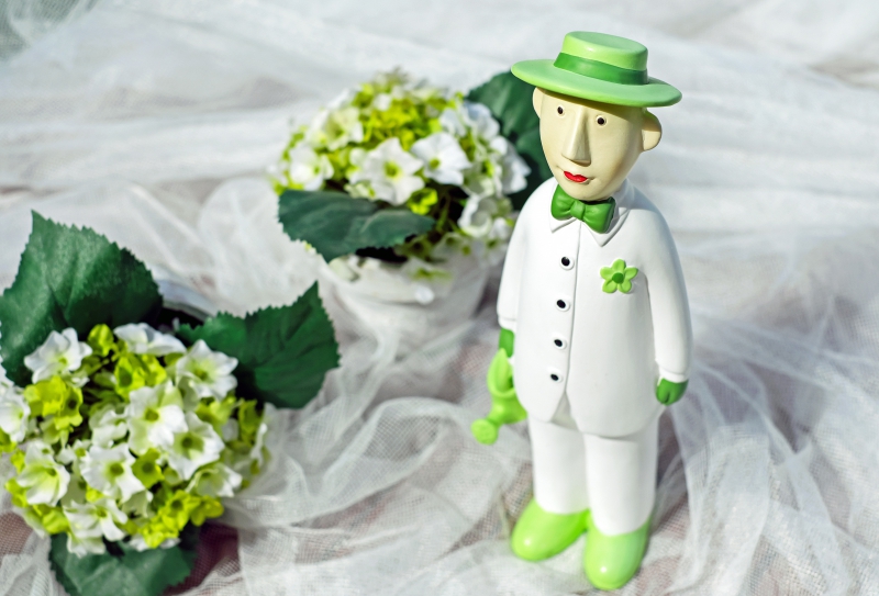 vitrine-CARNOULES-min_man-person-flower-green-toy-fig-546529-pxhere.com